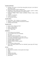 Lietuvių literatūros kartojimas 6 puslapis