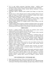 Lietuvių literatūros kartojimas 8 puslapis