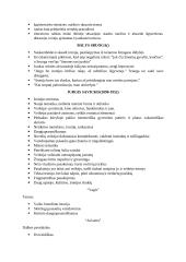 Lietuvių literatūros kartojimas 10 puslapis