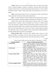 Anketinės apklausos rezultatai: UAB "Biovela" 5 puslapis