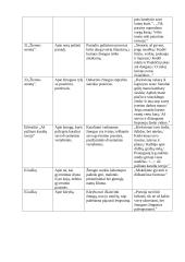 Vytautas Mačernis. „Metų sonetai“ 2 puslapis