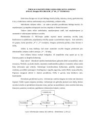 Aš vadovas, esminiai vadovo aspektai 4 puslapis