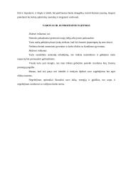 Aš vadovas, esminiai vadovo aspektai 9 puslapis