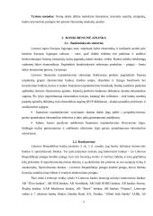 Banko veiklos analizė Lietuvos bankų sektoriaus situacijoje 4 puslapis