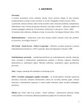 Bendradarbiavimas prevenciniame darbe 2 puslapis