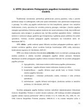 Bendradarbiavimas prevenciniame darbe 15 puslapis