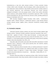 Bendradarbiavimas prevenciniame darbe 16 puslapis