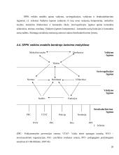 Bendradarbiavimas prevenciniame darbe 20 puslapis
