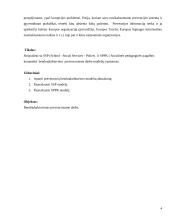 Bendradarbiavimas prevenciniame darbe 4 puslapis