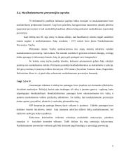 Bendradarbiavimas prevenciniame darbe 6 puslapis