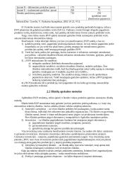 Bendrojo vidaus produkto teorija 6 puslapis