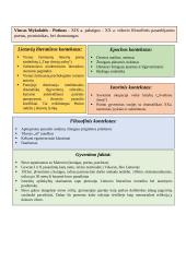Išsamus Mykolaičio-Putino konspektas