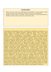 Išsamus Mykolaičio-Putino konspektas 2 puslapis