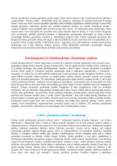 Išsamus Mykolaičio-Putino konspektas 11 puslapis