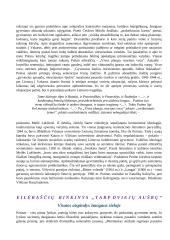 Išsamus Mykolaičio-Putino konspektas 8 puslapis