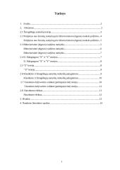 Bihevioristinė vadybos mokykla 2 puslapis
