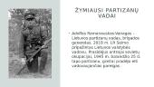 Antroji sovietinė okupacija. Partizaninis karas Lietuvoje  13 puslapis