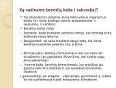 Ką vadiname bendrija? 2 puslapis