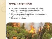 Ką vadiname bendrija? 4 puslapis