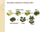 Ką vadiname bendrija? 5 puslapis