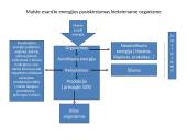 Energijos kelias mitybos grandinėm 2 puslapis