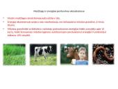 Energijos kelias mitybos grandinėm 3 puslapis