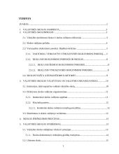 Biudžeto deficitas bei valstybės skola Lietuvoje 2 puslapis