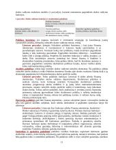 Biudžeto deficitas bei valstybės skola Lietuvoje 13 puslapis