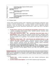 Biudžeto deficitas bei valstybės skola Lietuvoje 17 puslapis