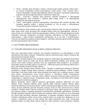 Biudžeto deficitas bei valstybės skola Lietuvoje 5 puslapis