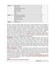 Biudžeto deficitas bei valstybės skola Lietuvoje 8 puslapis