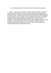 Kas ir kodėl padeda tautai neprarasti garbės istorinio apsisprendimo valandą?