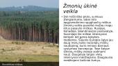 Taiga – borealinių spygliuočių miškų biomas 8 puslapis