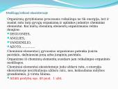 Vandens, deguonies ir anglies apytaka 3 puslapis