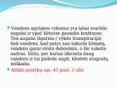 Vandens, deguonies ir anglies apytaka 6 puslapis