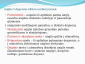 Vandens, deguonies ir anglies apytaka 7 puslapis