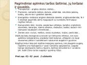 Žmogaus veiklos keliama tarša. Žmogaus poveikis gamtai ankščiau ir dabar 2 puslapis