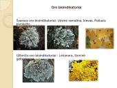 Žmogaus veiklos keliama tarša. Žmogaus poveikis gamtai ankščiau ir dabar 4 puslapis
