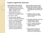 Žmonių populiacijos augimas Žemėje 3 puslapis