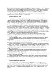 Boilers. Katilai 7 puslapis