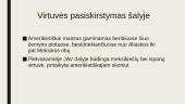 Amerikietiška virtuvė 3 puslapis