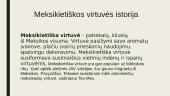 Meksikos virtuvė  2 puslapis