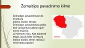 Žemaitija – etnografinis regionas 3 puslapis
