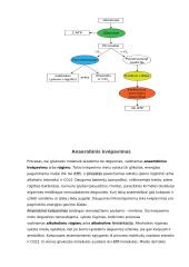 Ląstelinis kvėpavimas: teorija 4 puslapis