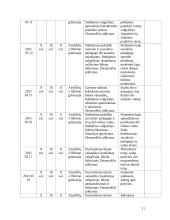 Socialinio darbo ir ugdymo praktikos aplankas 11 puslapis