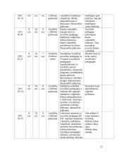 Socialinio darbo ir ugdymo praktikos aplankas 12 puslapis