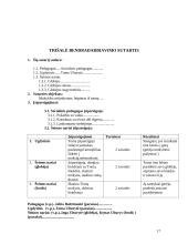 Socialinio darbo ir ugdymo praktikos aplankas 17 puslapis