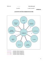 Socialinio darbo ir ugdymo praktikos aplankas 8 puslapis