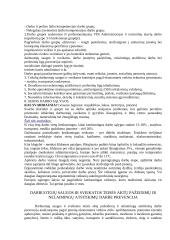 Darbo sąlygų būklė įvairiose Lietuvos ūkio šakose 4 puslapis