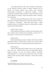 Demokratijos samprata antikoje ir šiuolaikiniame pasaulyje: panašumai ir skirtumai 16 puslapis